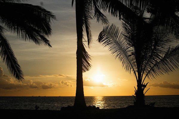 Comment organiser des vacances en Norvège avec des ateliers de photographie de paysages et des croisières en fjord?