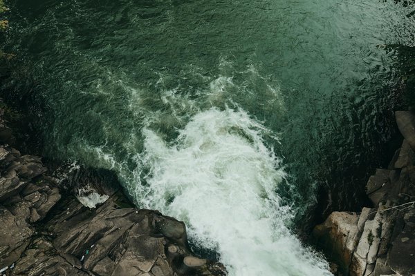 Comment organiser une expédition pour observer les lions dans le parc national du Serengeti?