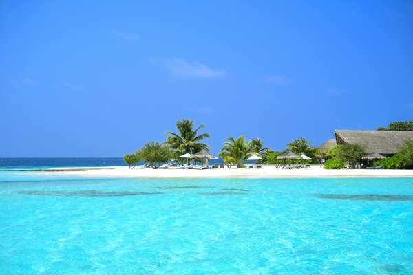 Quels sont les meilleurs spots pour observer les flamants roses en Camargue?